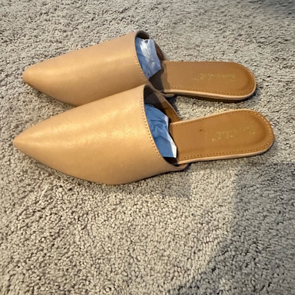 Pointed Flat Mule Shoes